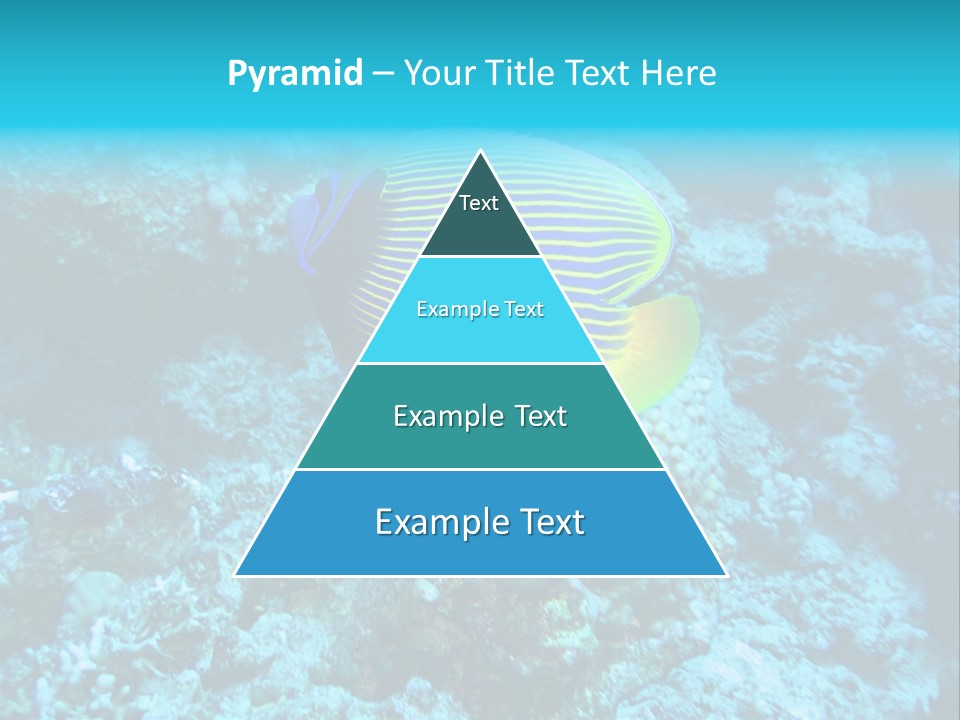 Wildlife Coral Egypt PowerPoint Template