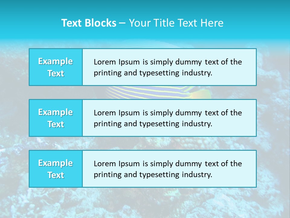 Wildlife Coral Egypt PowerPoint Template