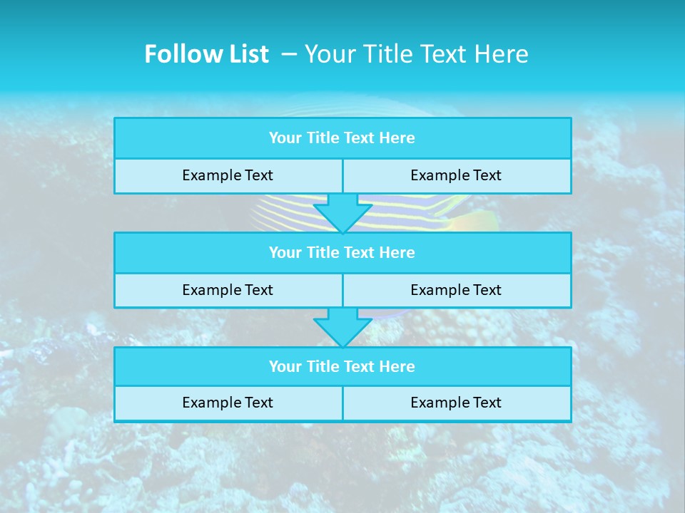 Wildlife Coral Egypt PowerPoint Template