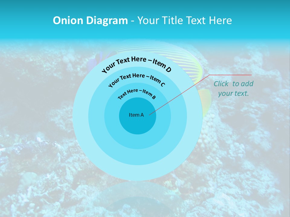 Wildlife Coral Egypt PowerPoint Template