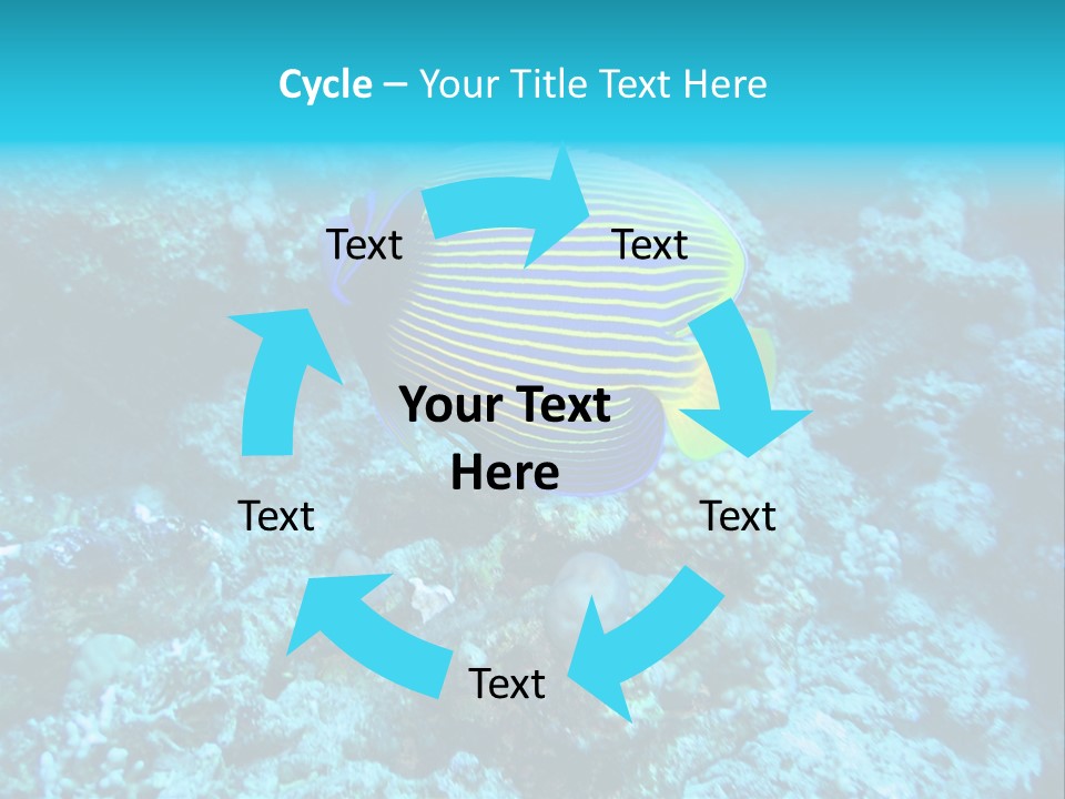 Wildlife Coral Egypt PowerPoint Template