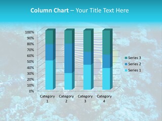 Wildlife Coral Egypt PowerPoint Template