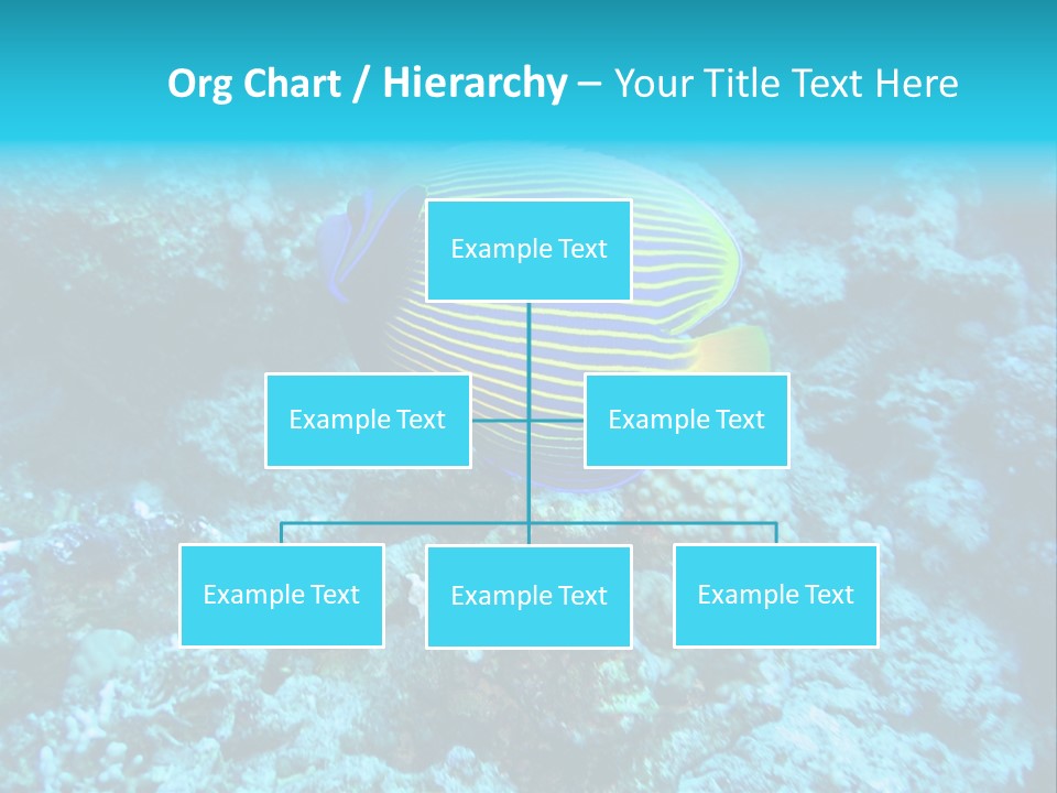 Wildlife Coral Egypt PowerPoint Template