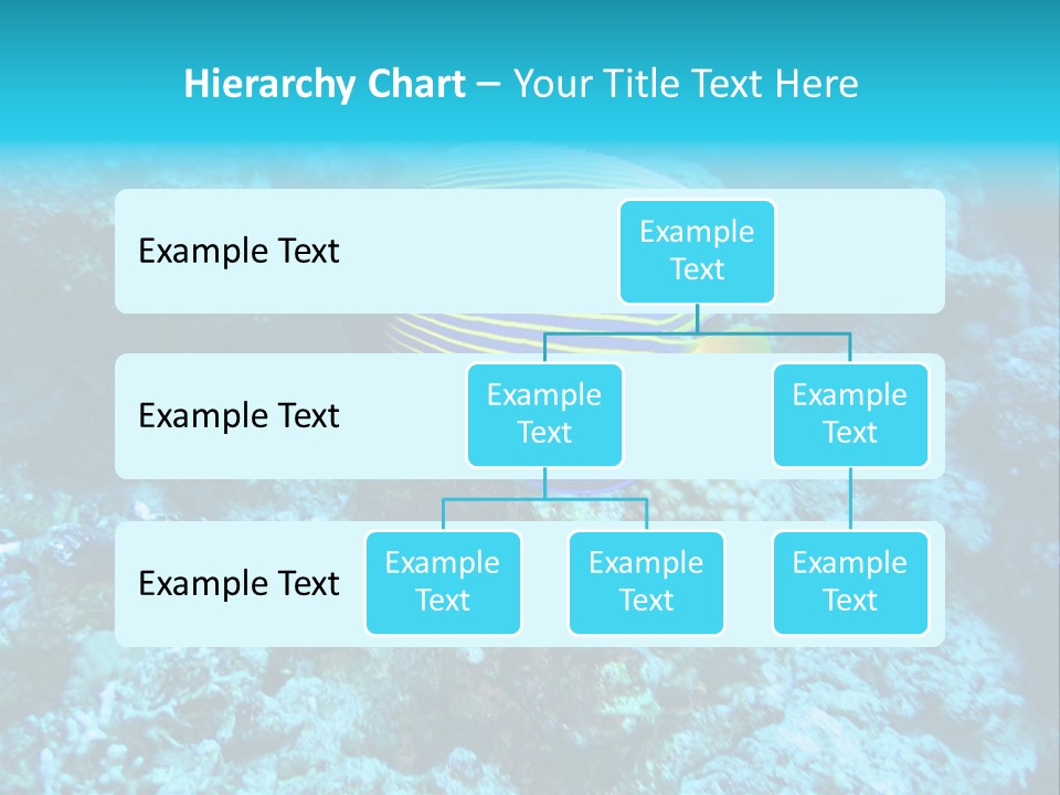 Wildlife Coral Egypt PowerPoint Template