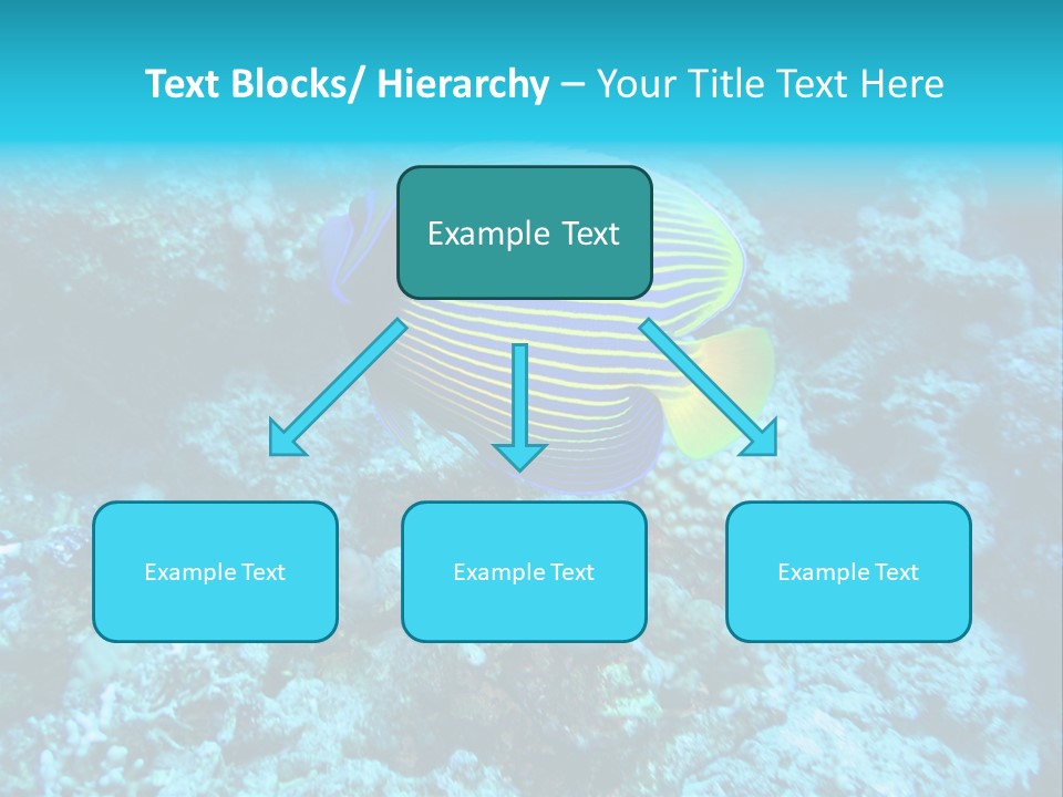 Wildlife Coral Egypt PowerPoint Template
