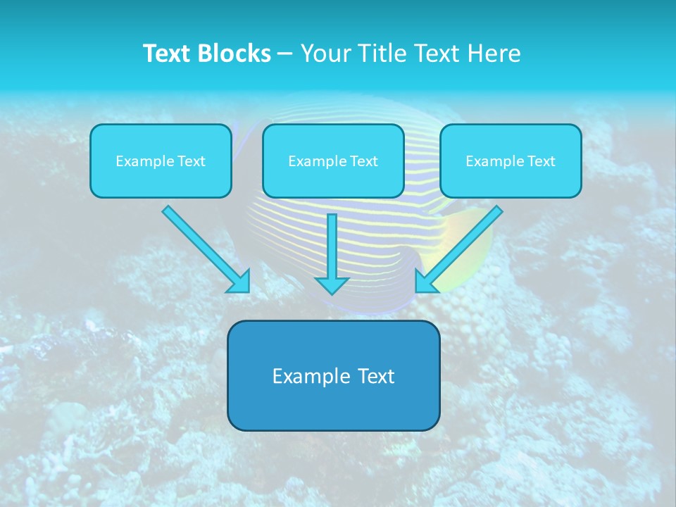 Wildlife Coral Egypt PowerPoint Template