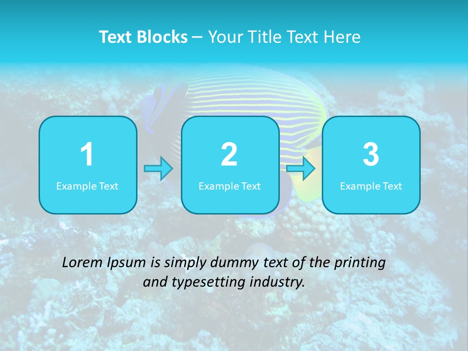 Wildlife Coral Egypt PowerPoint Template