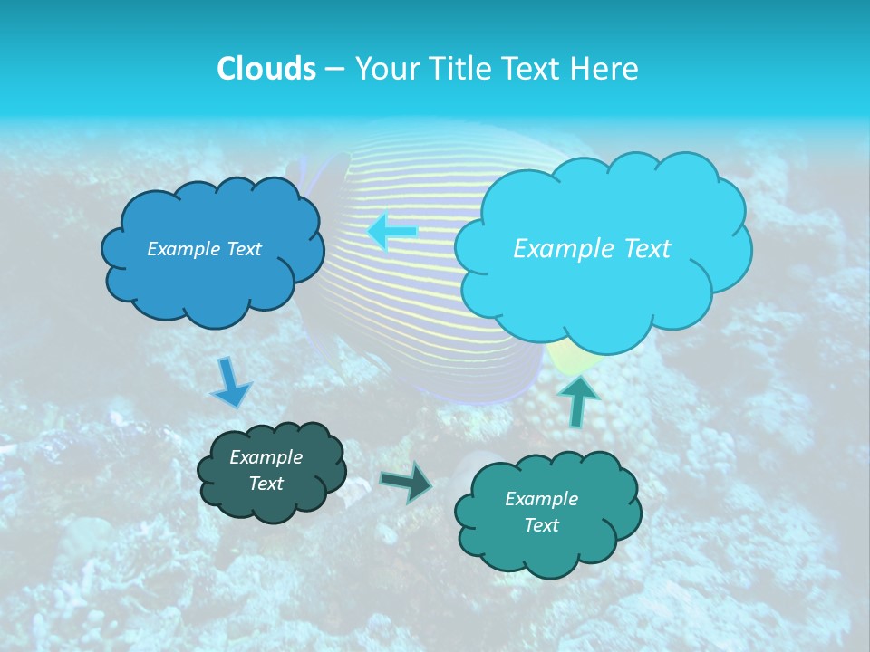 Wildlife Coral Egypt PowerPoint Template