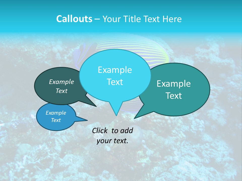 Wildlife Coral Egypt PowerPoint Template