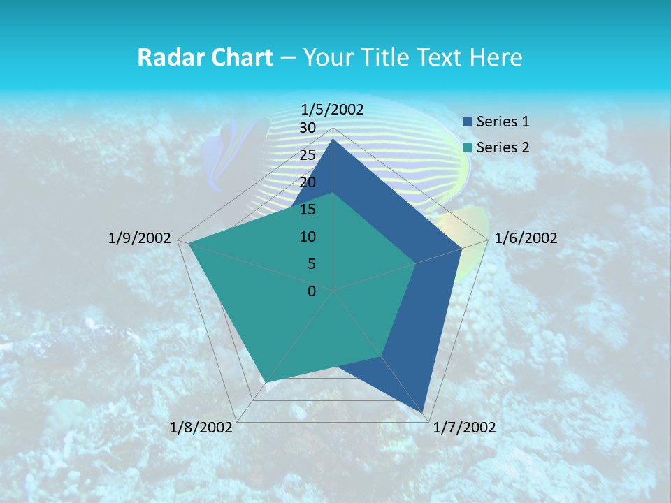 Wildlife Coral Egypt PowerPoint Template