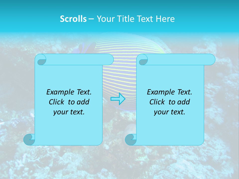 Wildlife Coral Egypt PowerPoint Template
