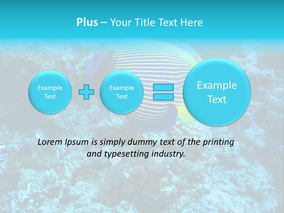 Wildlife Coral Egypt PowerPoint Template