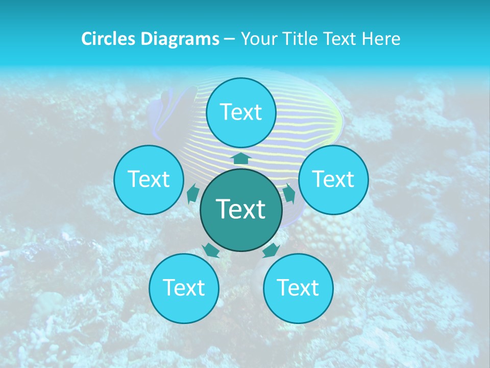 Wildlife Coral Egypt PowerPoint Template