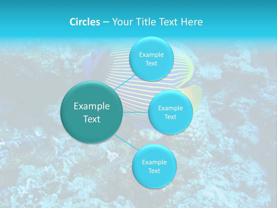 Wildlife Coral Egypt PowerPoint Template