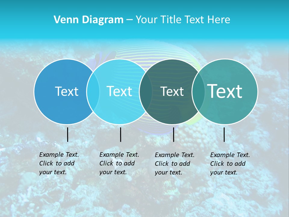 Wildlife Coral Egypt PowerPoint Template