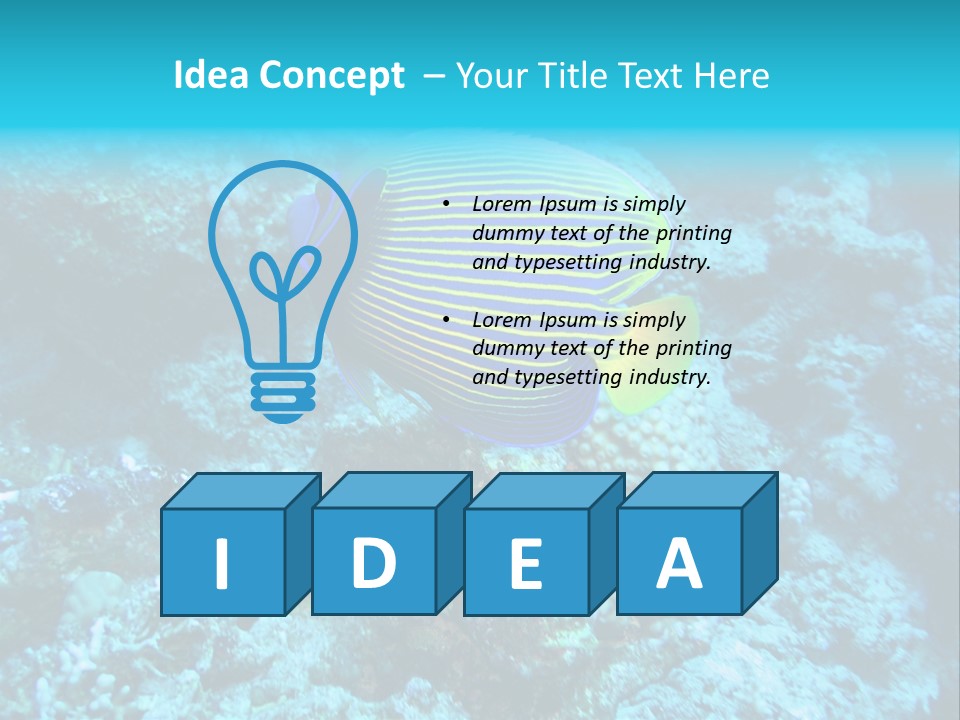 Wildlife Coral Egypt PowerPoint Template