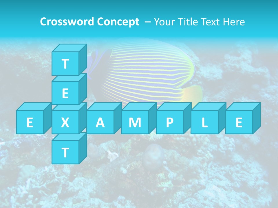 Wildlife Coral Egypt PowerPoint Template