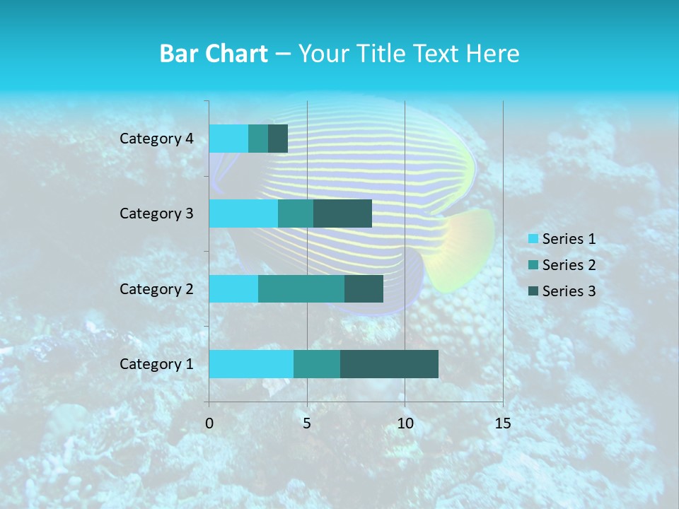 Wildlife Coral Egypt PowerPoint Template