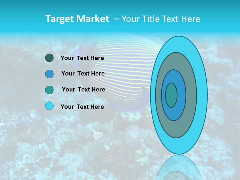 Wildlife Coral Egypt PowerPoint Template