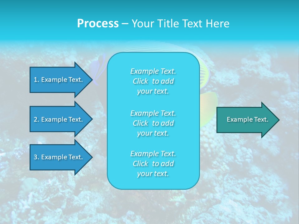 Wildlife Coral Egypt PowerPoint Template