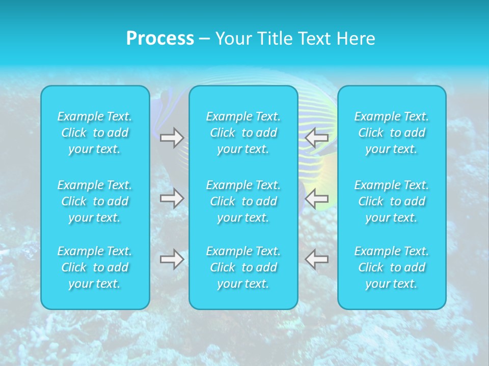 Wildlife Coral Egypt PowerPoint Template