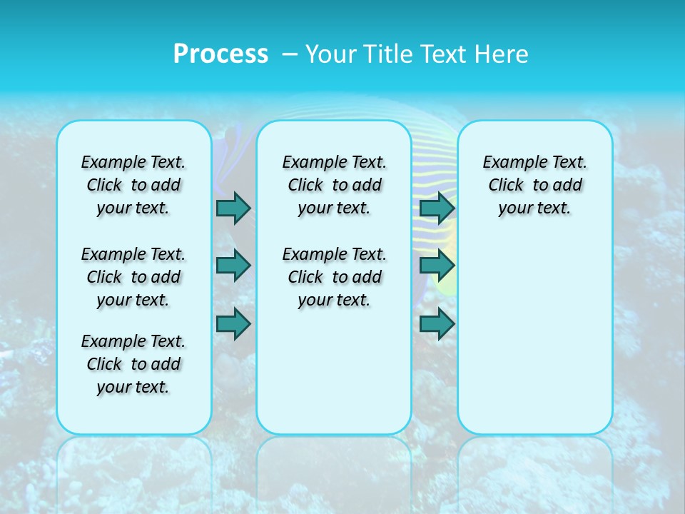 Wildlife Coral Egypt PowerPoint Template