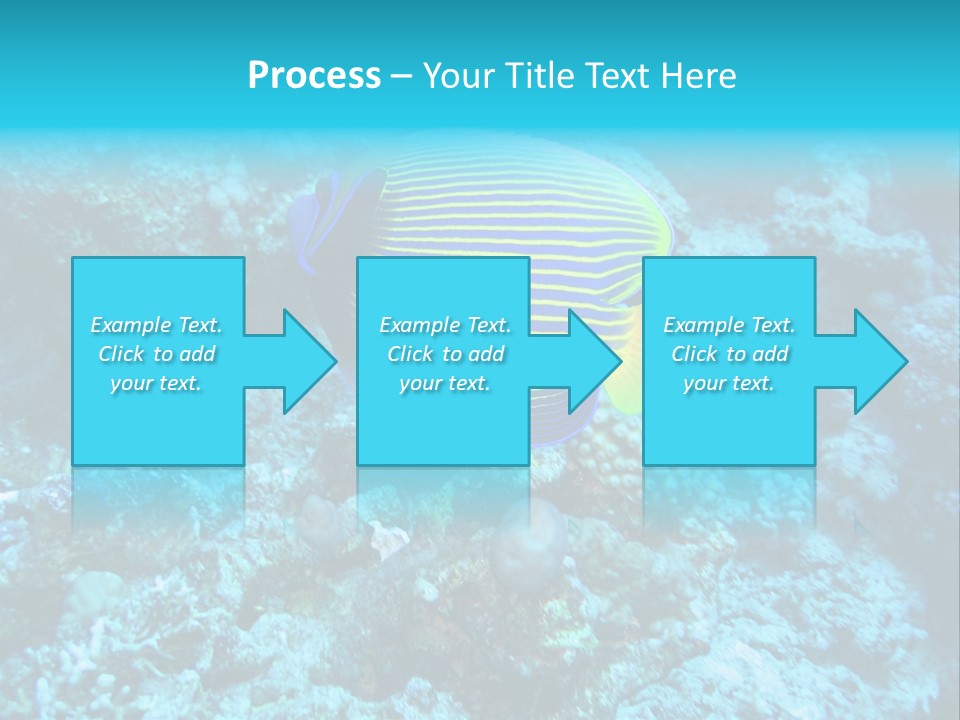 Wildlife Coral Egypt PowerPoint Template