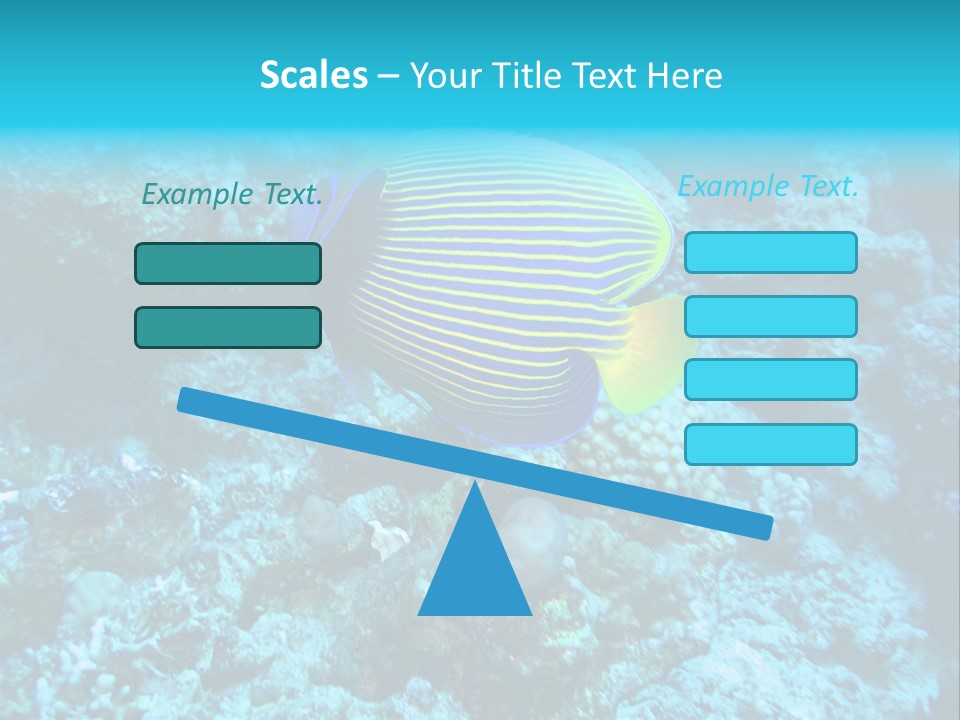 Wildlife Coral Egypt PowerPoint Template