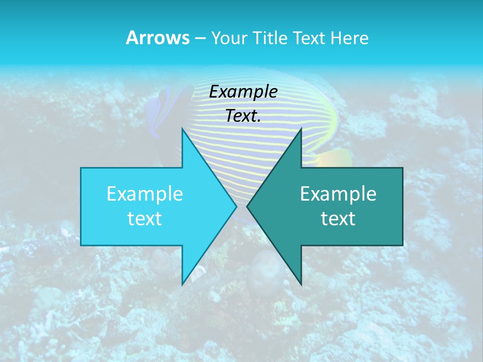 Wildlife Coral Egypt PowerPoint Template