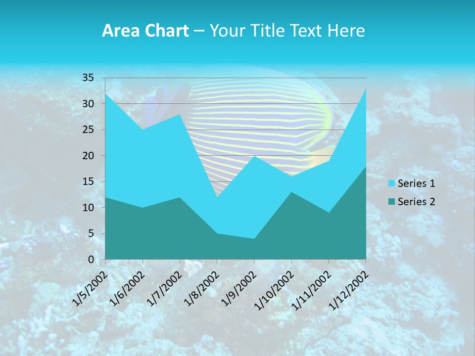 Wildlife Coral Egypt PowerPoint Template