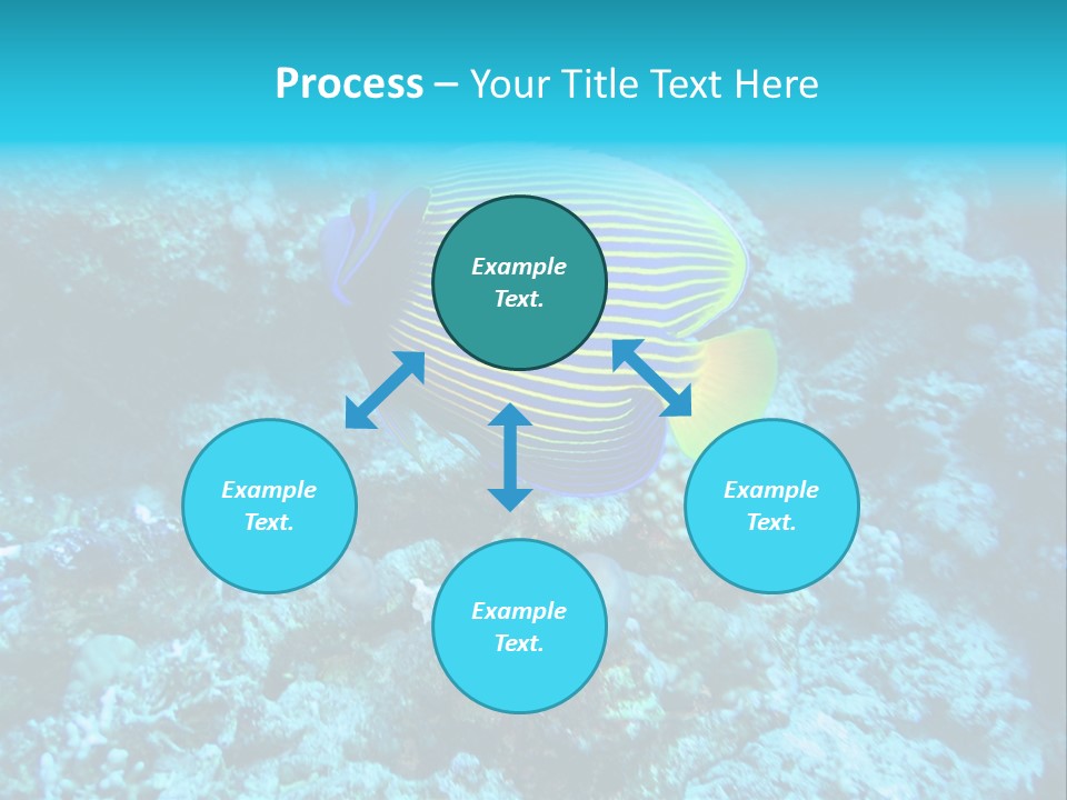 Wildlife Coral Egypt PowerPoint Template