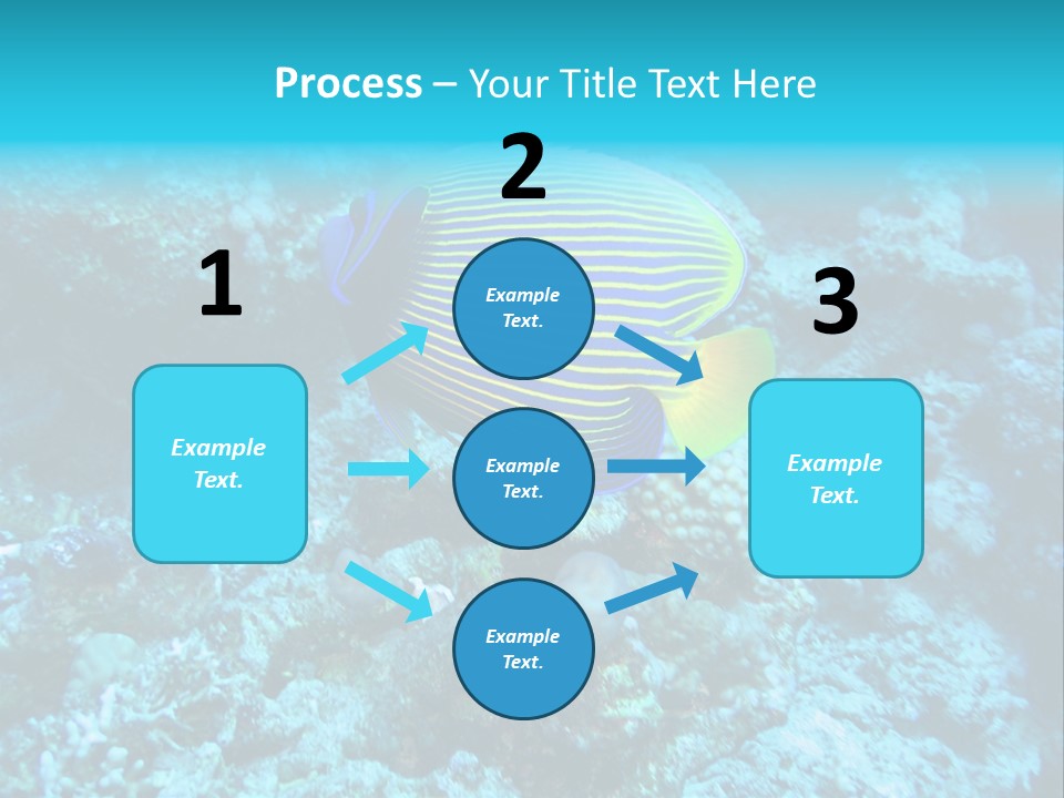 Wildlife Coral Egypt PowerPoint Template