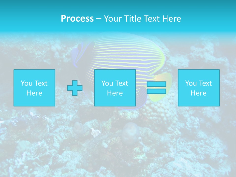 Wildlife Coral Egypt PowerPoint Template