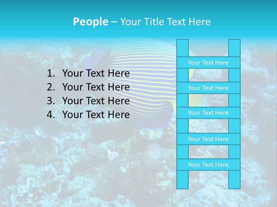 Wildlife Coral Egypt PowerPoint Template