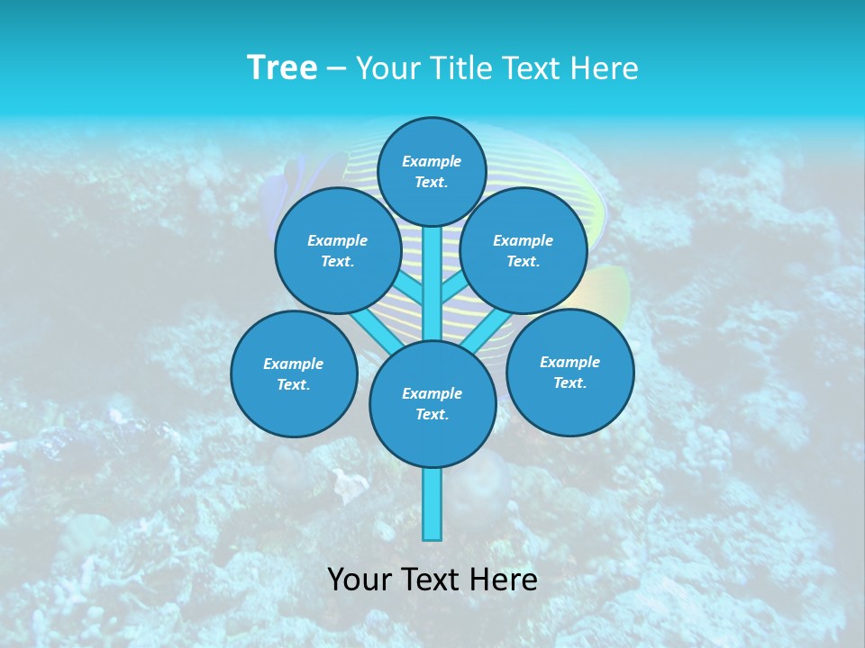 Wildlife Coral Egypt PowerPoint Template