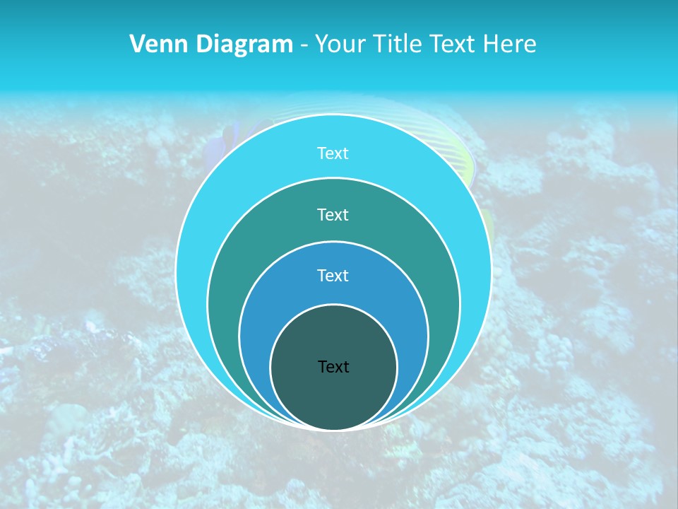 Wildlife Coral Egypt PowerPoint Template