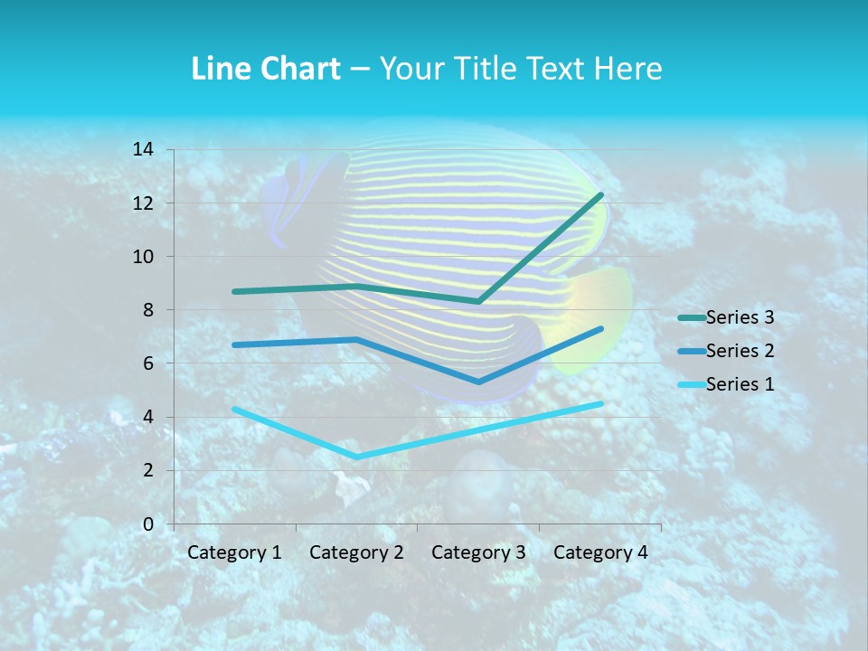 Wildlife Coral Egypt PowerPoint Template