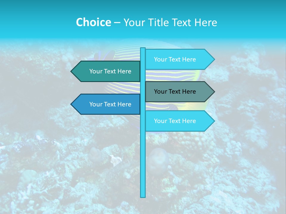 Wildlife Coral Egypt PowerPoint Template