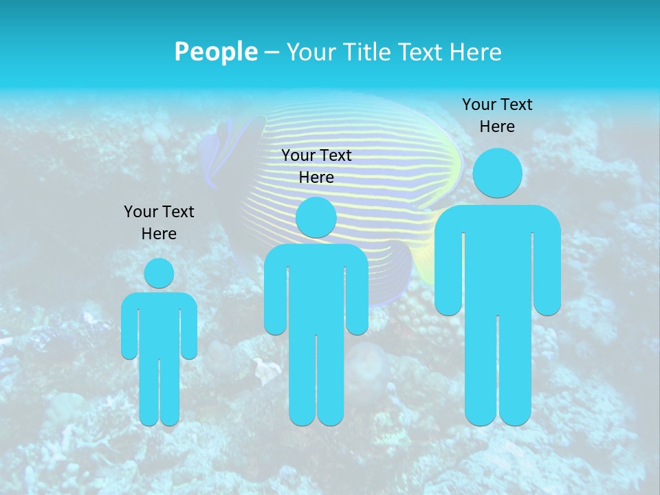 Wildlife Coral Egypt PowerPoint Template