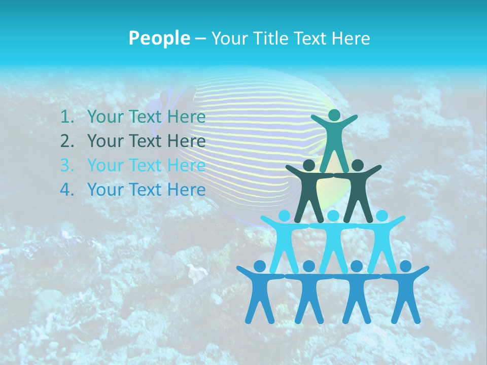 Wildlife Coral Egypt PowerPoint Template