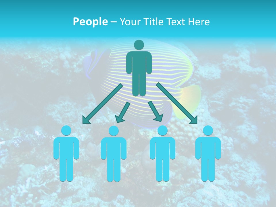 Wildlife Coral Egypt PowerPoint Template