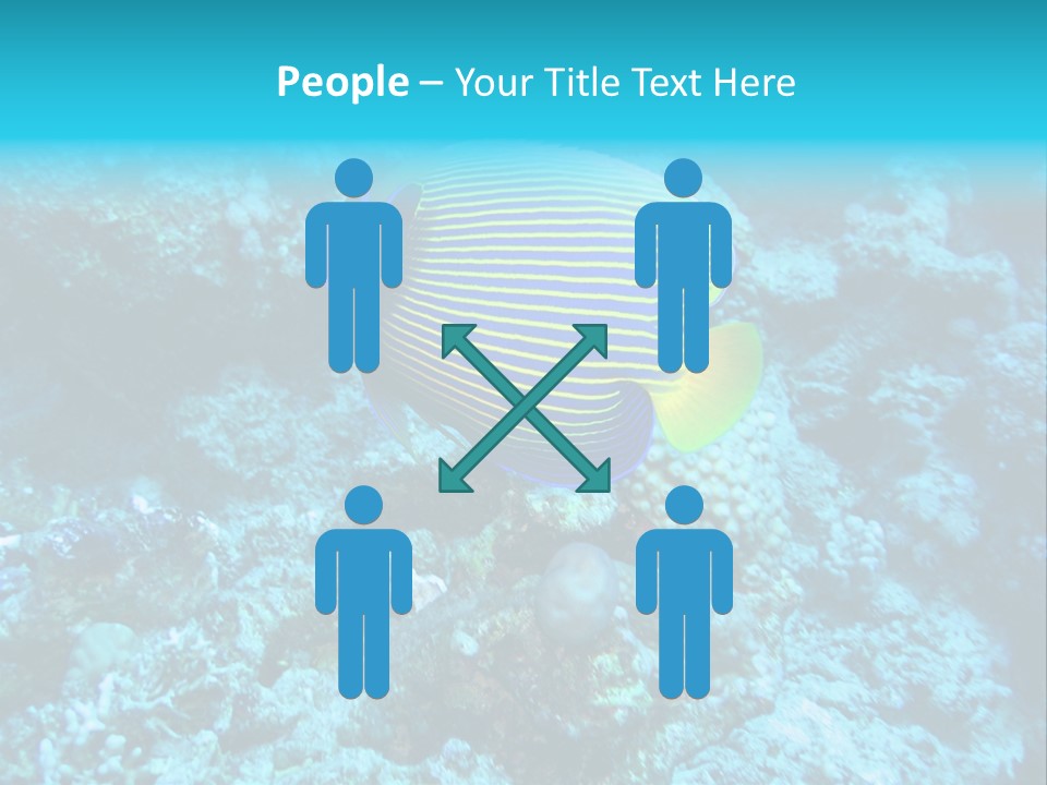 Wildlife Coral Egypt PowerPoint Template