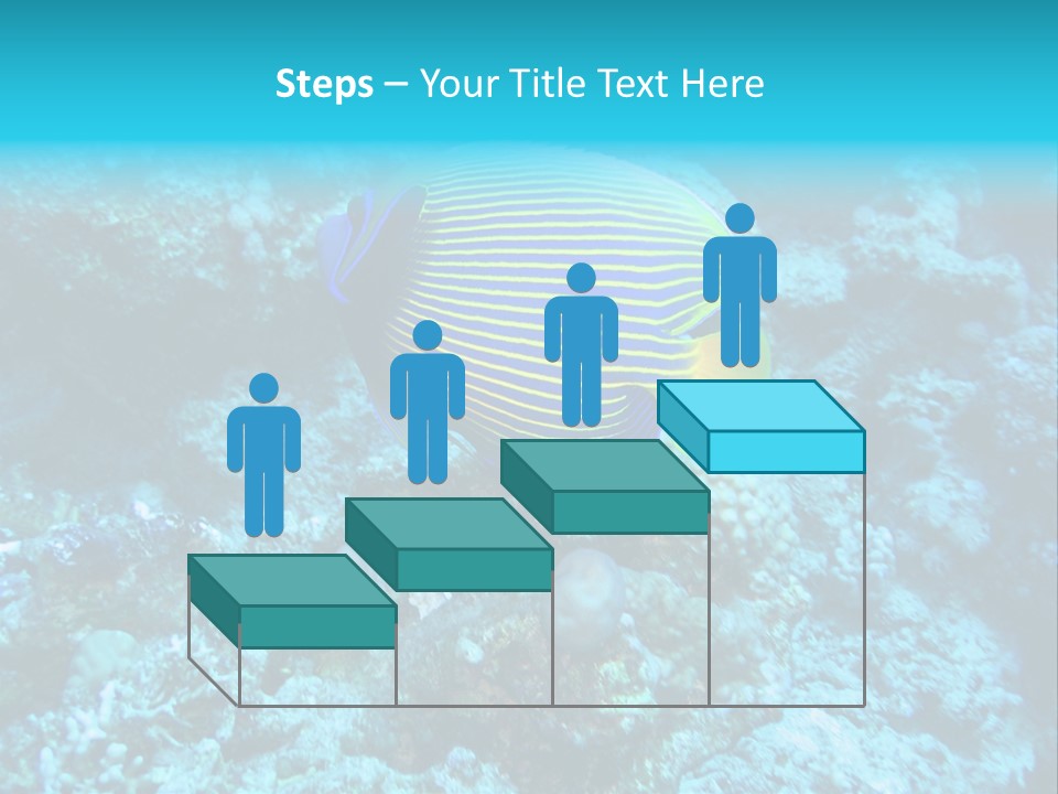 Wildlife Coral Egypt PowerPoint Template