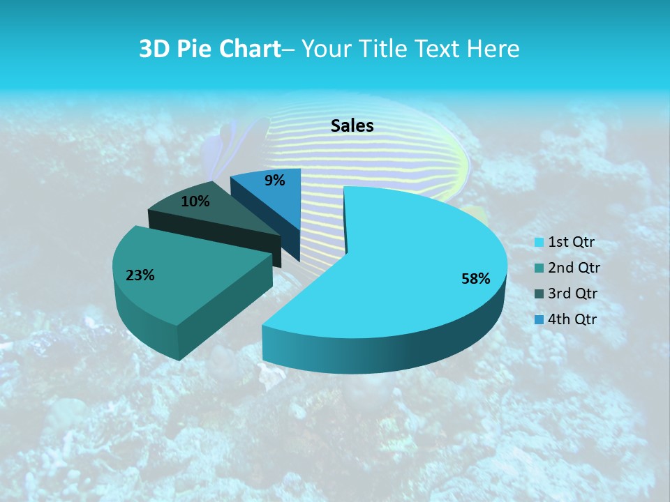 Wildlife Coral Egypt PowerPoint Template