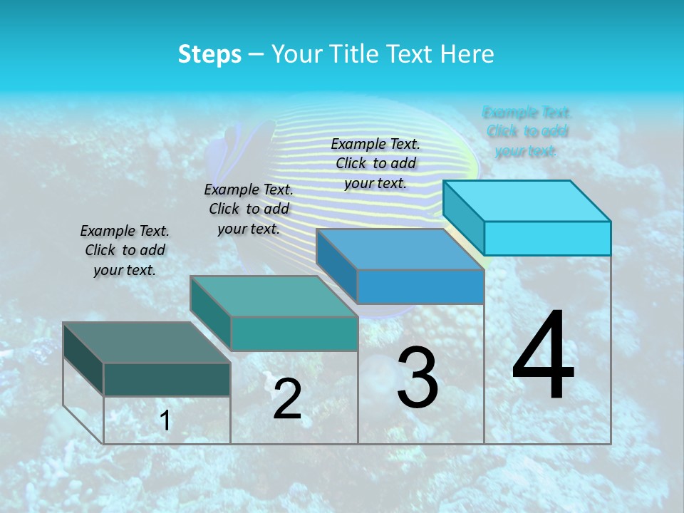 Wildlife Coral Egypt PowerPoint Template