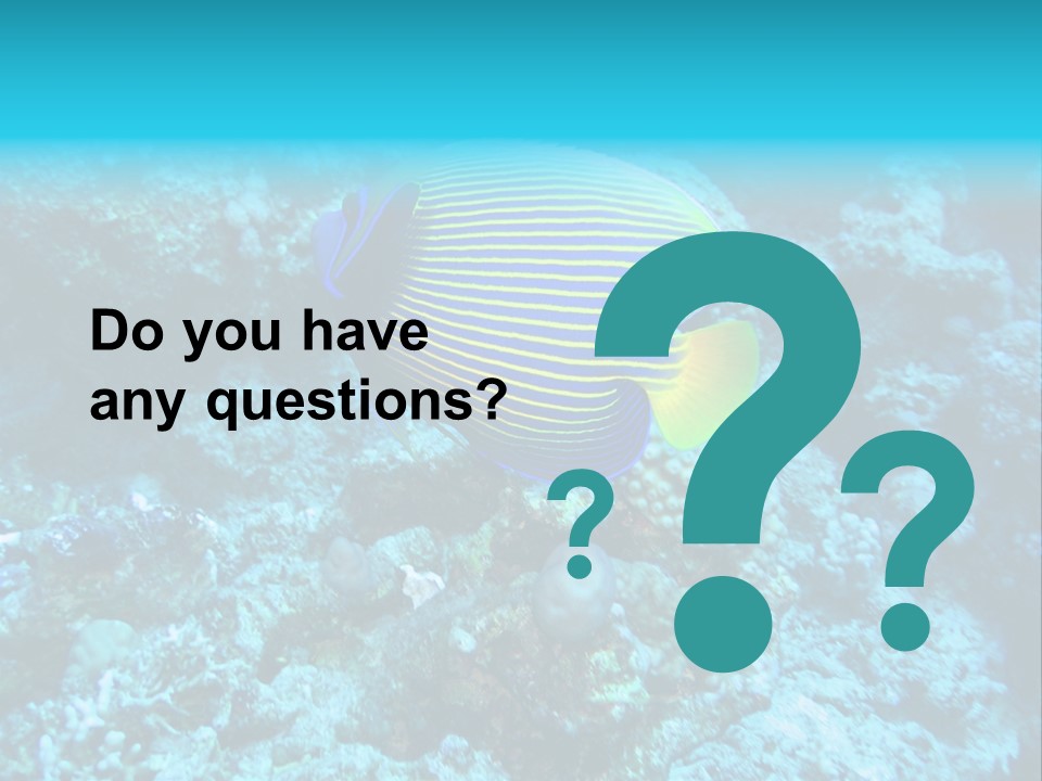 Wildlife Coral Egypt PowerPoint Template