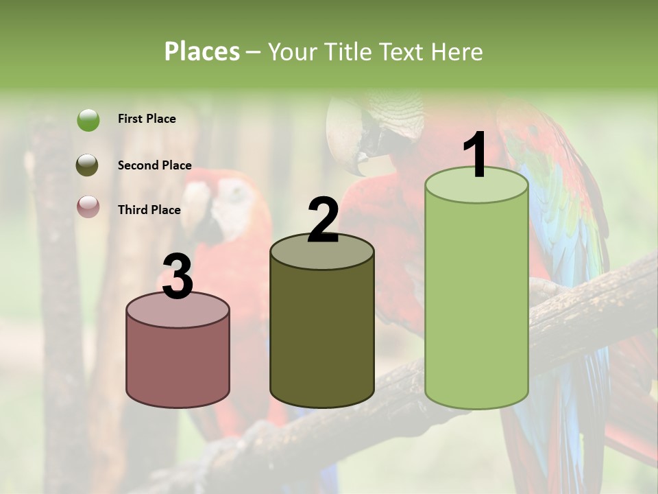 Guyana Peru Tropical PowerPoint Template