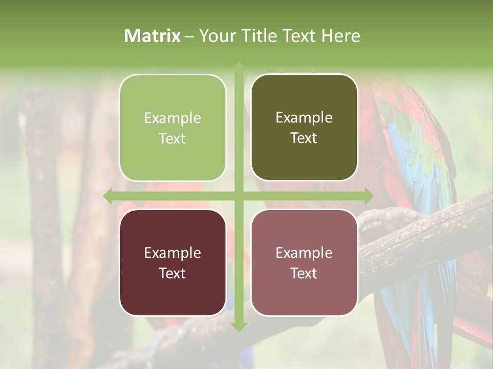 Guyana Peru Tropical PowerPoint Template