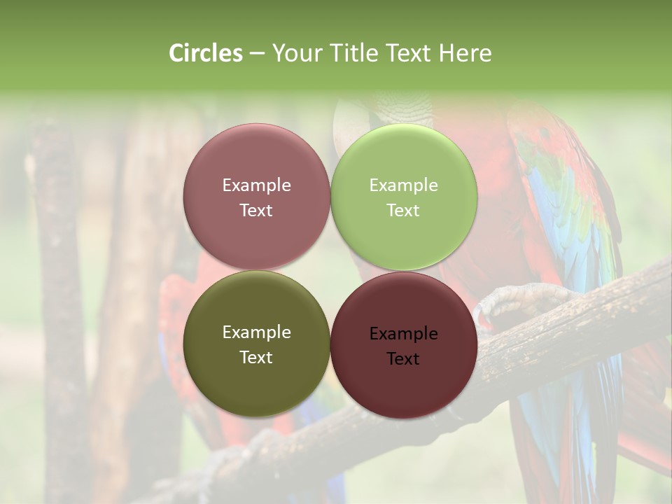 Guyana Peru Tropical PowerPoint Template