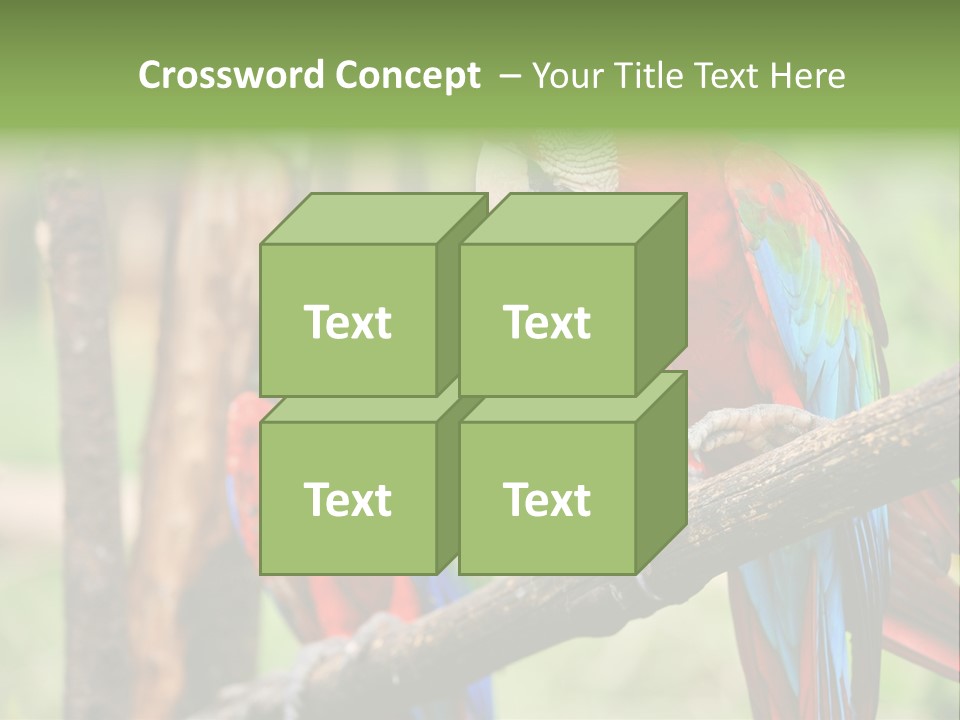 Guyana Peru Tropical PowerPoint Template